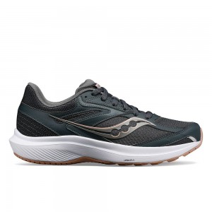 Saucony Cohesion 17 Széles Cipő Shadow Lotus | THY-907862