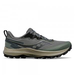 Saucony Peregrine 14 Bough Shadow | QUK-769580