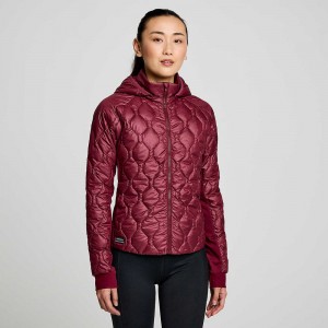 Saucony Solstice Oysterpuff Jacket Sundown | WGP-630754