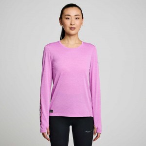 Saucony Stopwatch Grafika Long Sleeve Grape Heather Graphic | ISC-281534