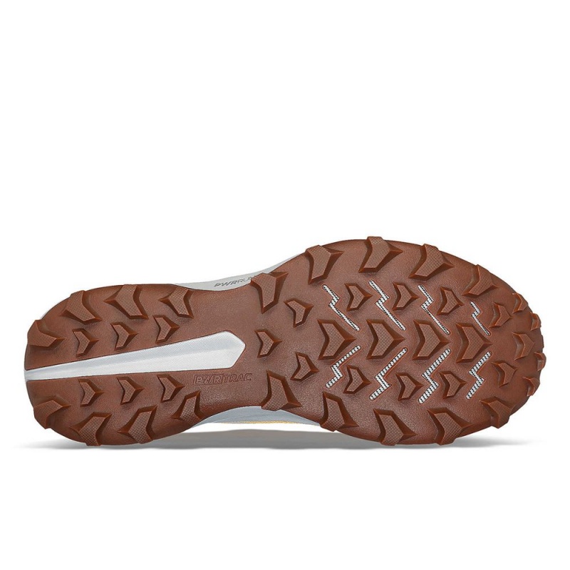 Saucony Peregrine 14 Flax Clove | QFY-976451