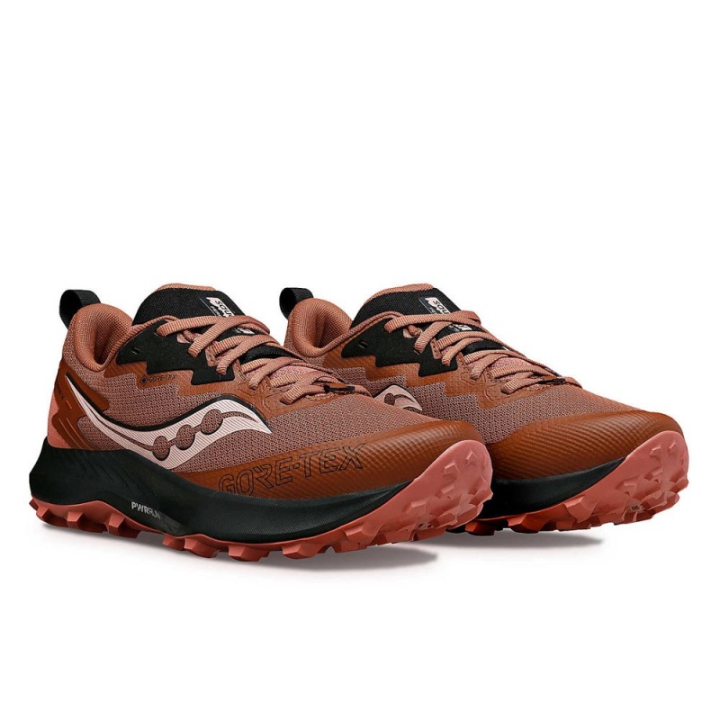 Saucony Peregrine 14 Gtx Fekete | WQH-682143