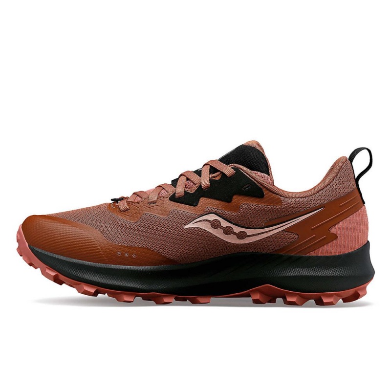 Saucony Peregrine 14 Gtx Fekete | WQH-682143