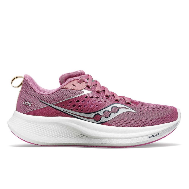 Saucony Ride 17 Széles Cipő Titán | CNW-594806