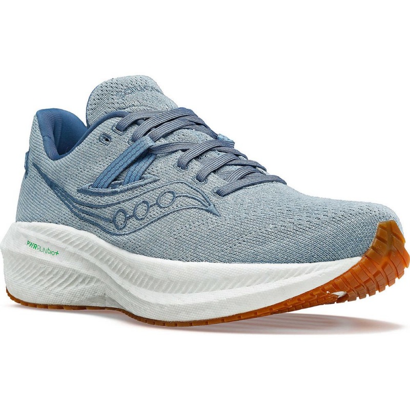 Saucony Triumph Rfg Murk | BUW-245931